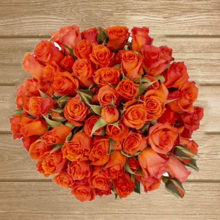 Alegria Spray Roses Orange
