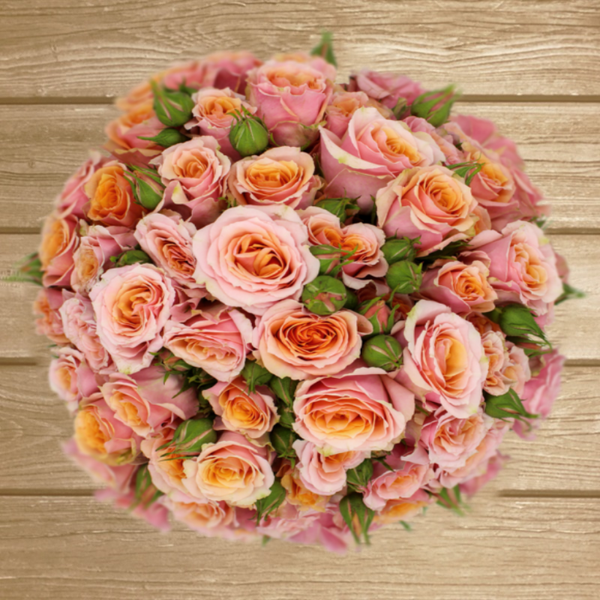 Baby Rosever Peach Spray Roses EbloomsDirect Eblooms Farm Direct Inc.
