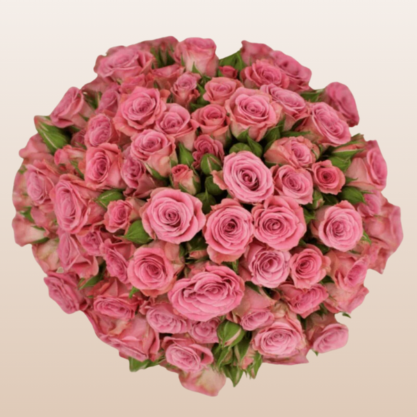 Brilliant Stars Scorpio Spray Rose | Free Delivery Near Me