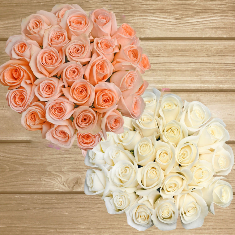 Duo Peach - White Roses