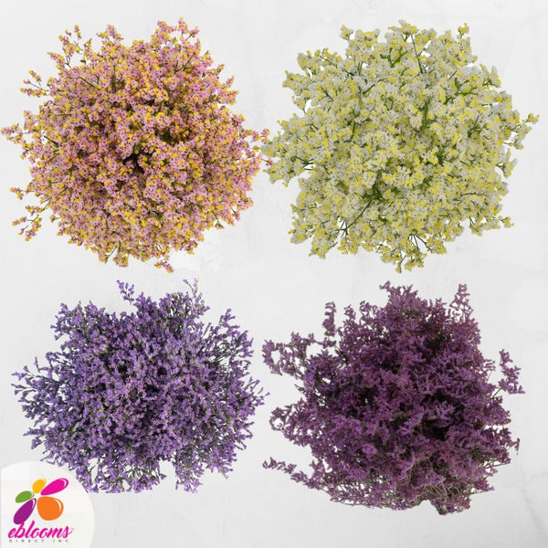 Limonium Flower Combo Box Assorted flower delivery near me