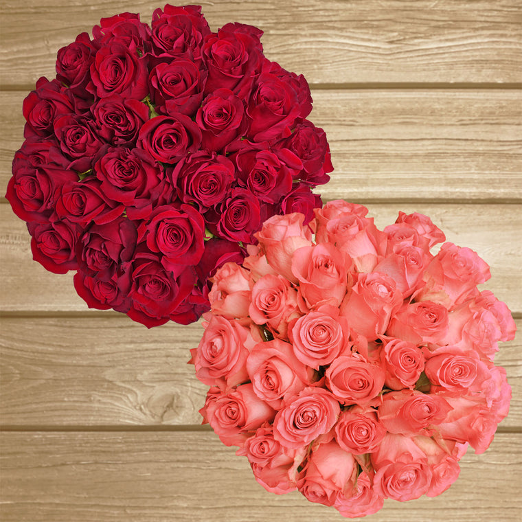 Duo Red - Coral Roses