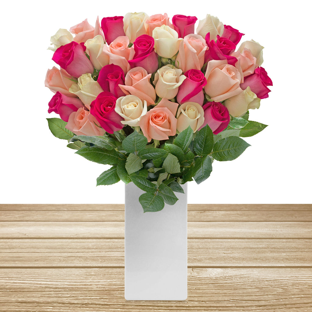 Trio White - Pink & Hot Pink Roses