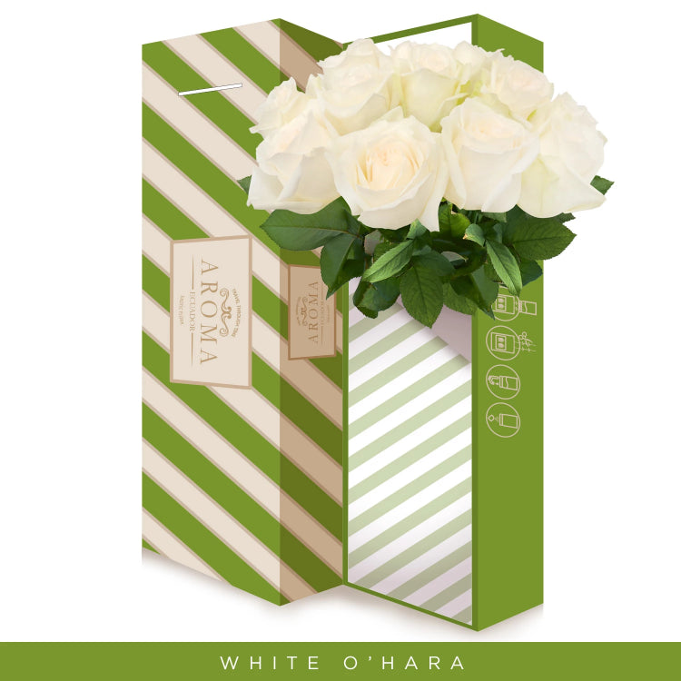 White O'hara Garden Roses - Premium scented Roses - English roses - roses wholesale- EbloomsDirect