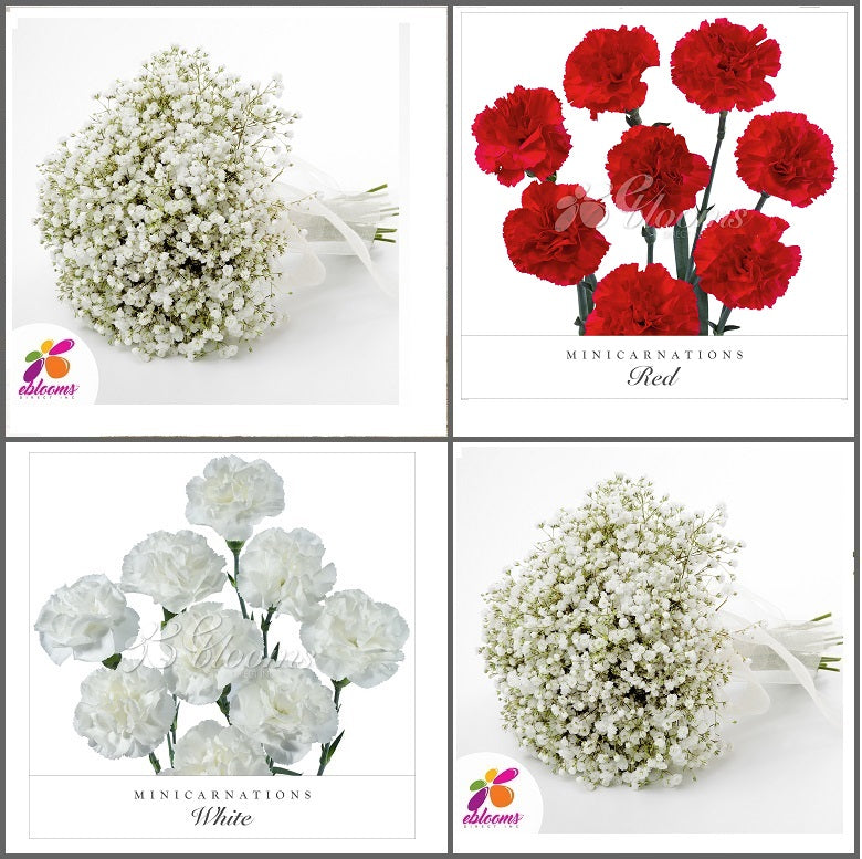 Combo Box #8 - Baby's Breath and Mini Carnation Red