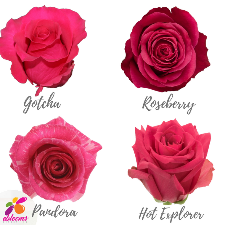 Hot Pink Assorted Roses
