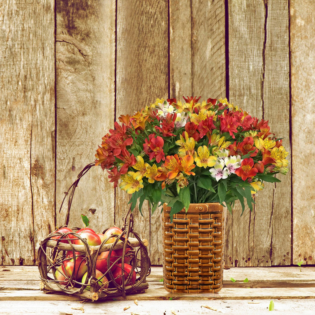 Alstroemeria Fall Mix Flower Delivery near me -EbloomsDirect