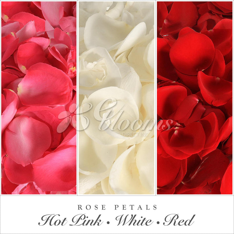 Rose Petals Hot Pink - Red & White