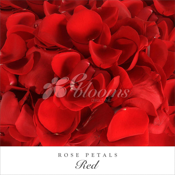 Red Rose Petals –