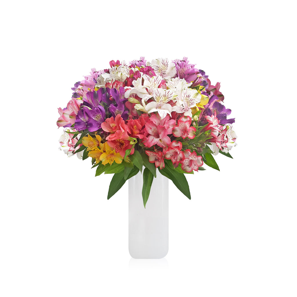 Alstroemeria Bouquets