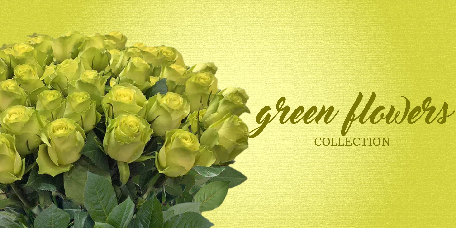 Green Flowers - EbloomsDirect