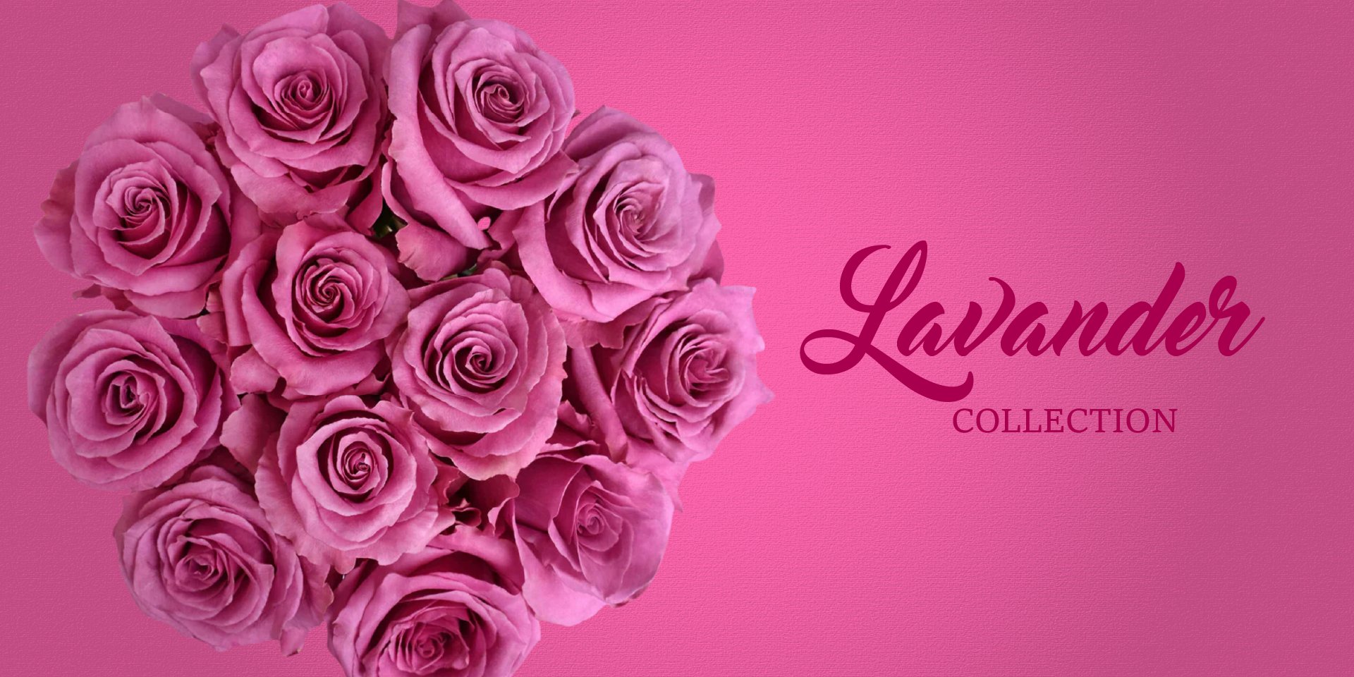 Lavander Flowers - EbloomsDirect