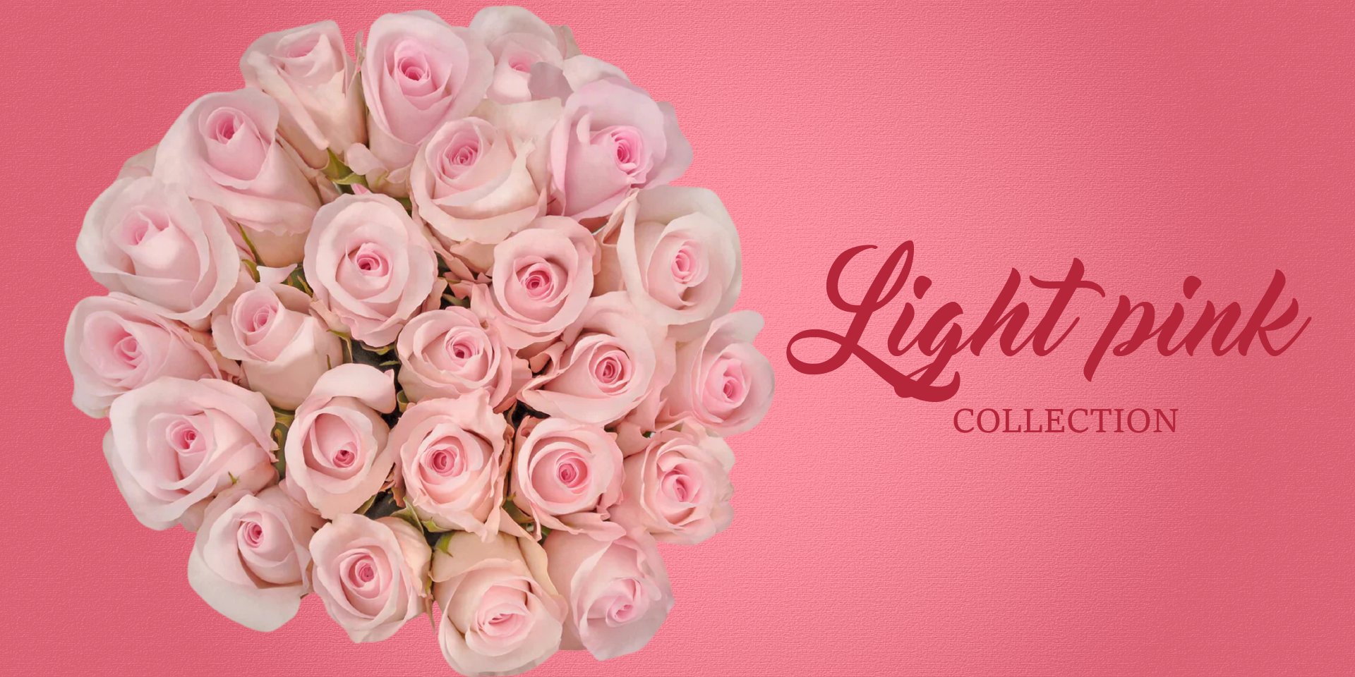 Light Pink Flowers - EbloomsDirect