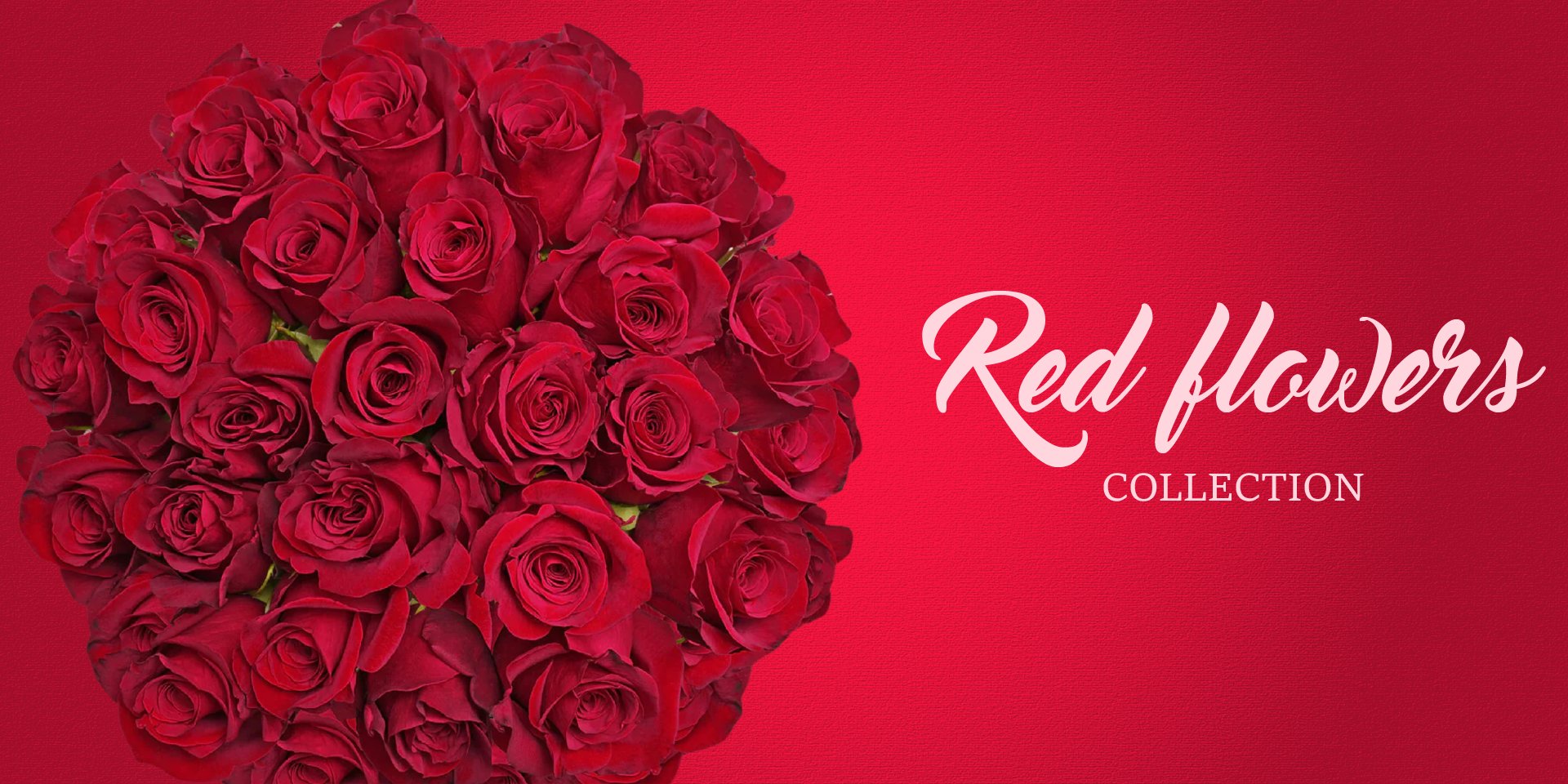 Red Flowers - EbloomsDirect