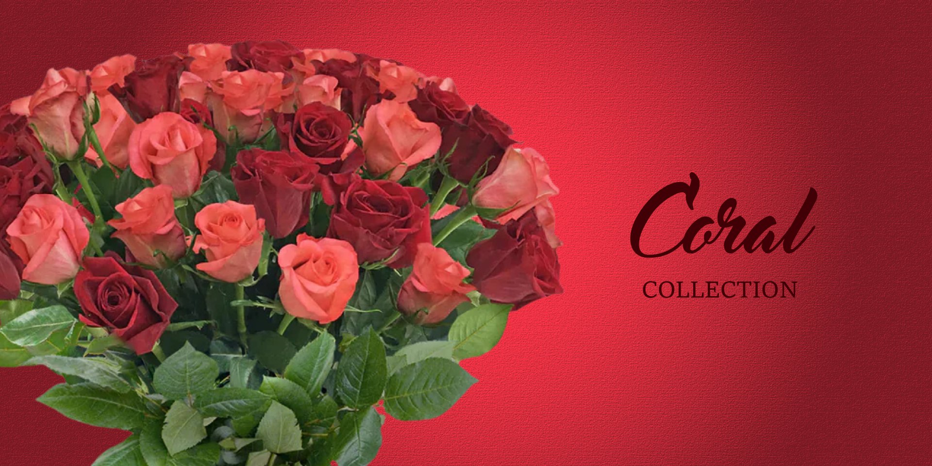 Coral Flowers - EbloomsDirect