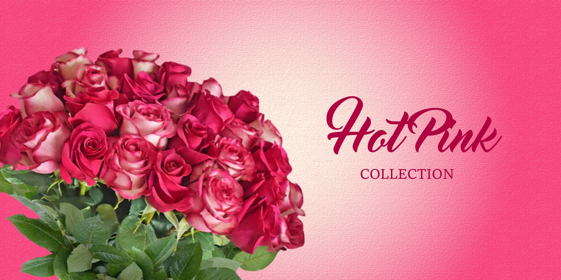 Hot Pink Flowers and Hot Pink Roses
