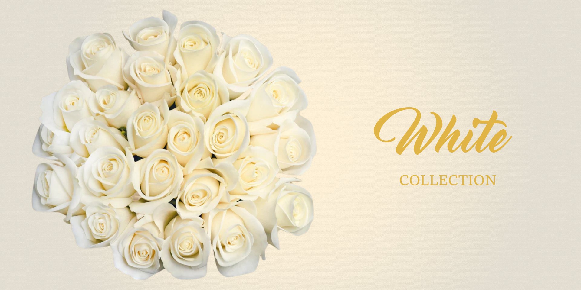 White Flowers - EbloomsDirect