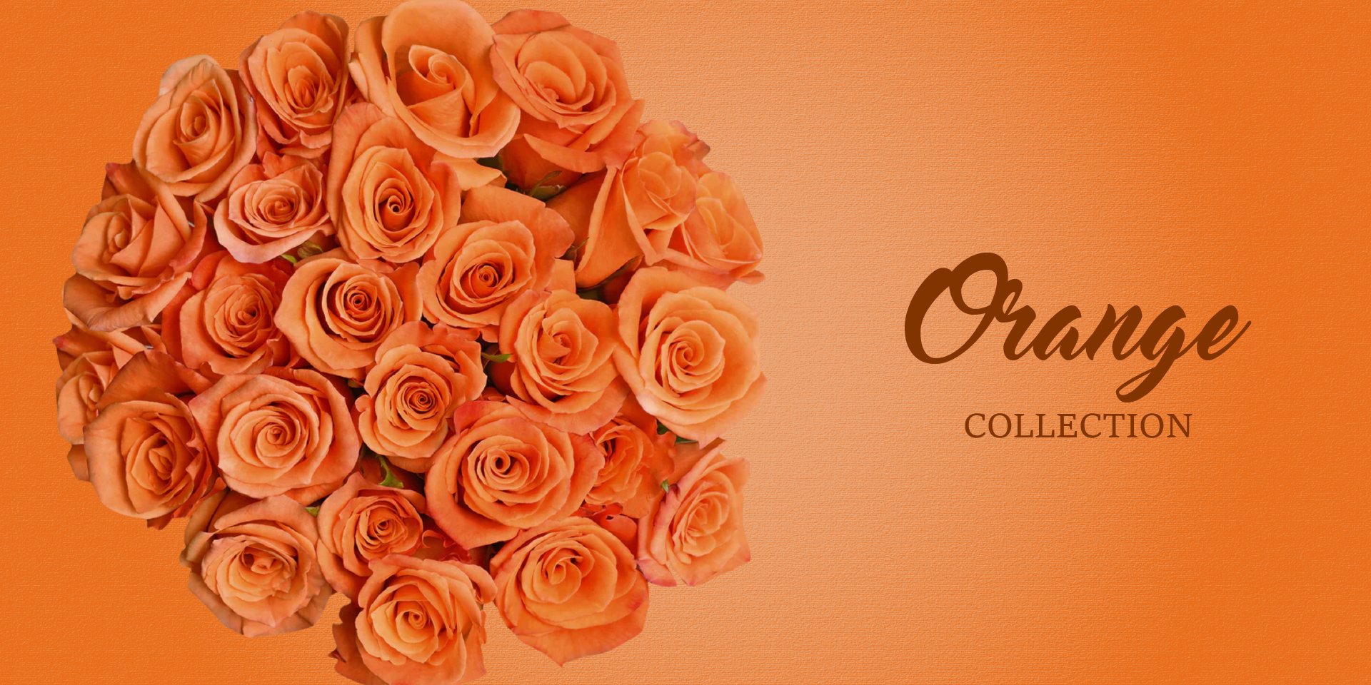 Orange Flowers