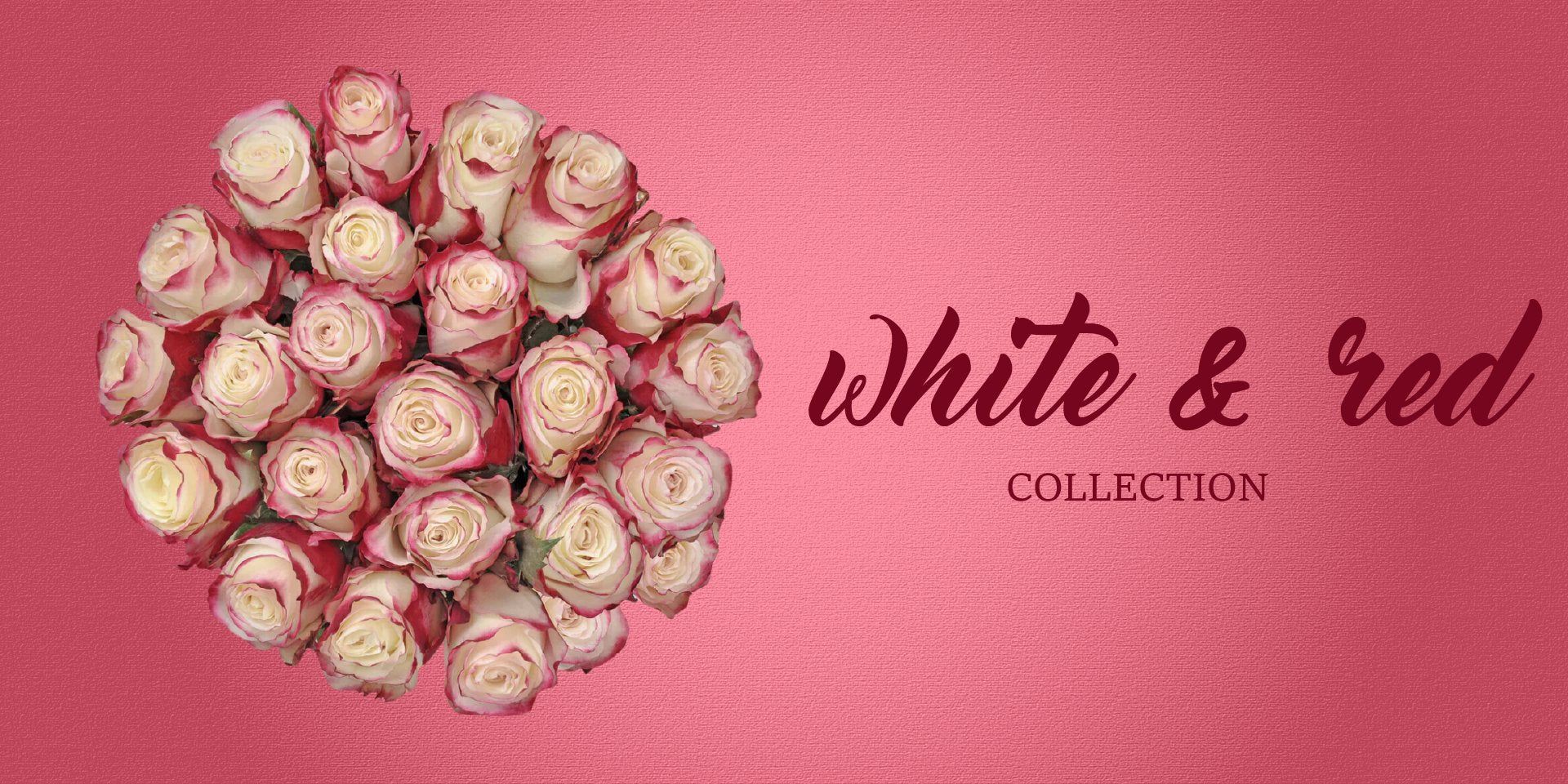 Flowers Bicolor White Red