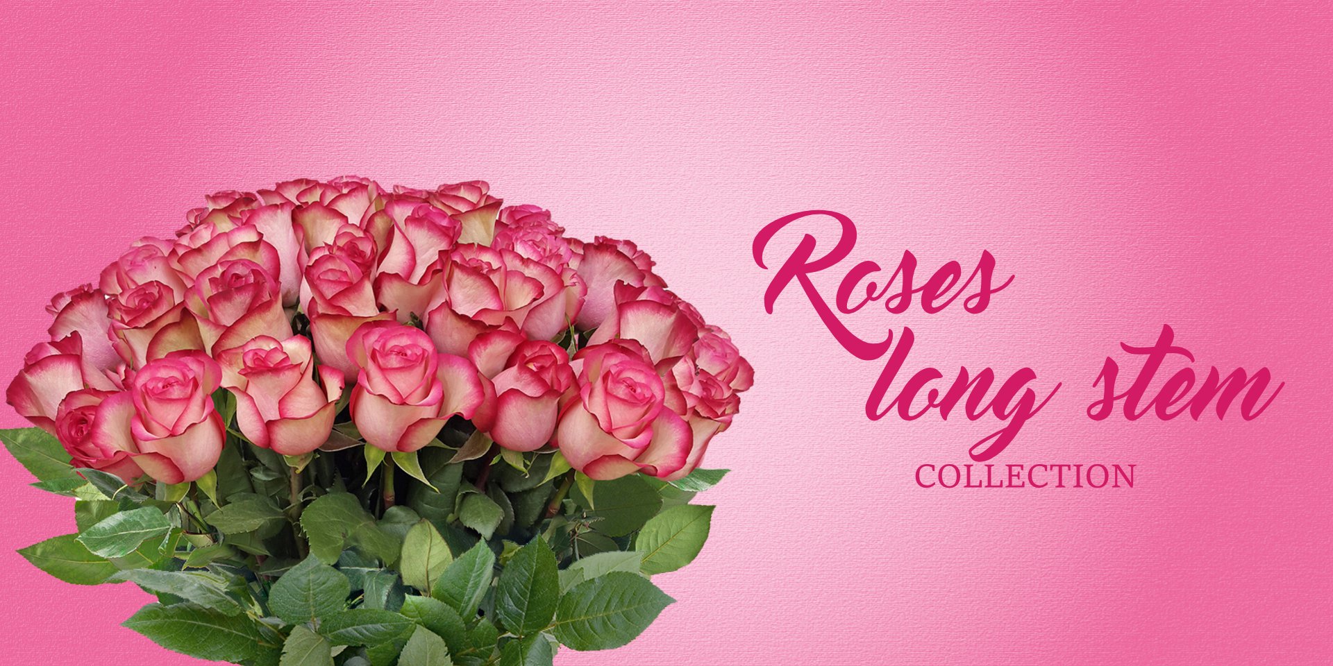 Roses long Stem - cheap flowers free delivery near me