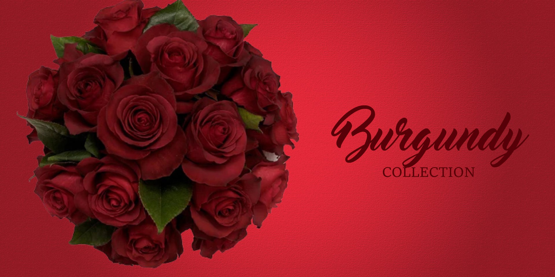 Burgundy Flowers - EbloomsDirect