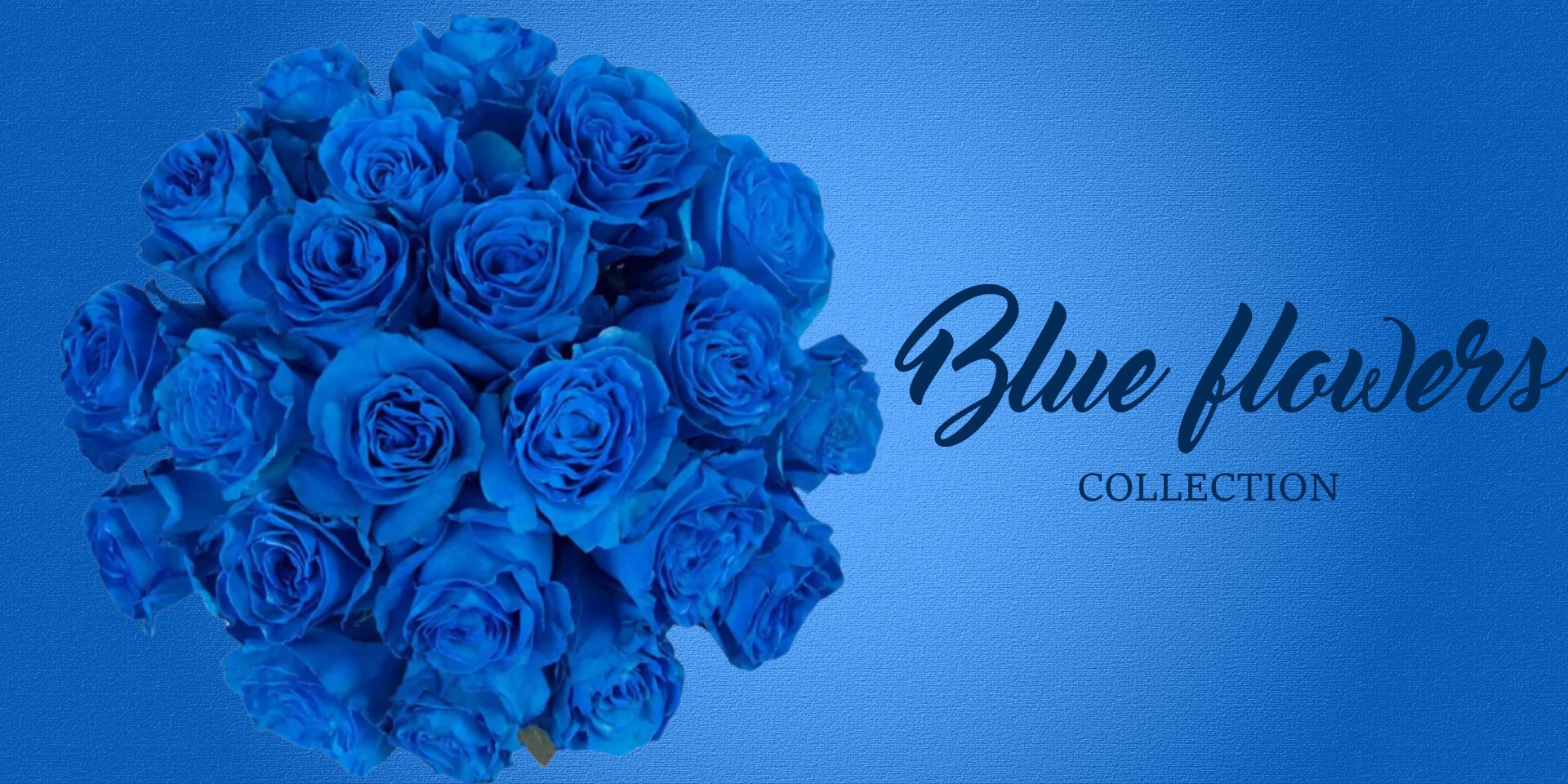 Blue Roses -EbloomsDirect