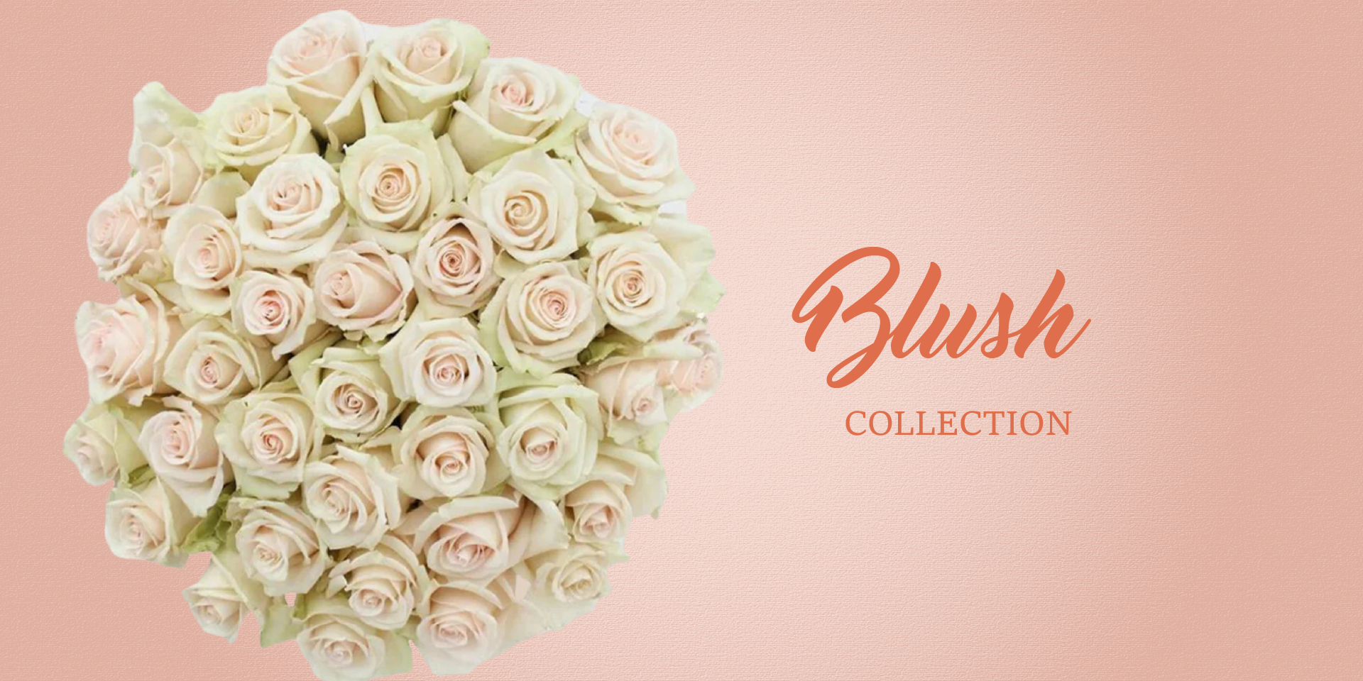 Blush Flowers