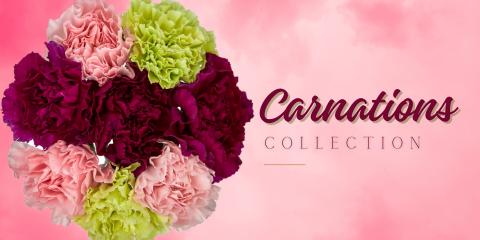 Carnations Spray Carnations - Flower Type EbloomsDirect