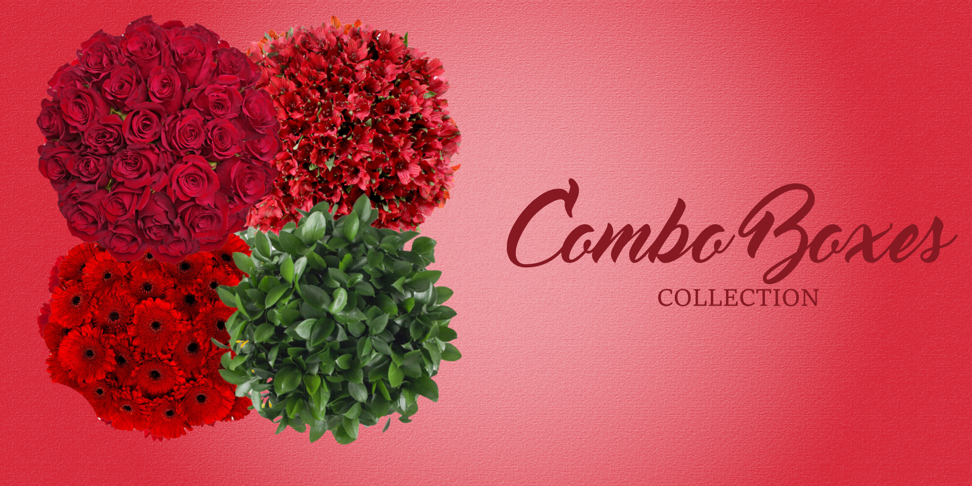 Combo boxes Collection - EbloomsDirect