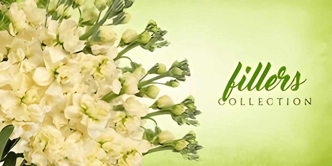 Fillers and Greenery Collection - EbloomsDirect