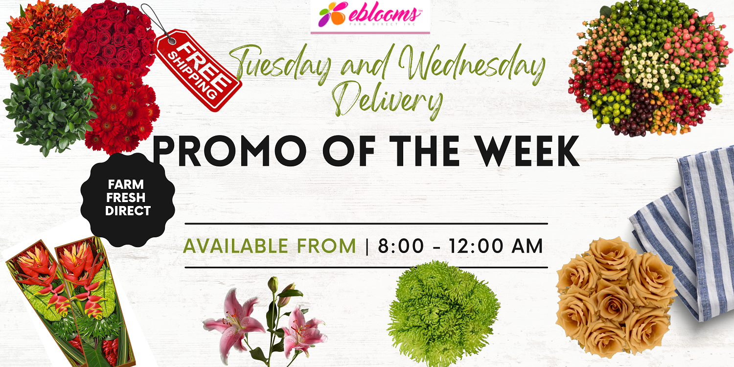 Promo of the week EbloomsDirect
