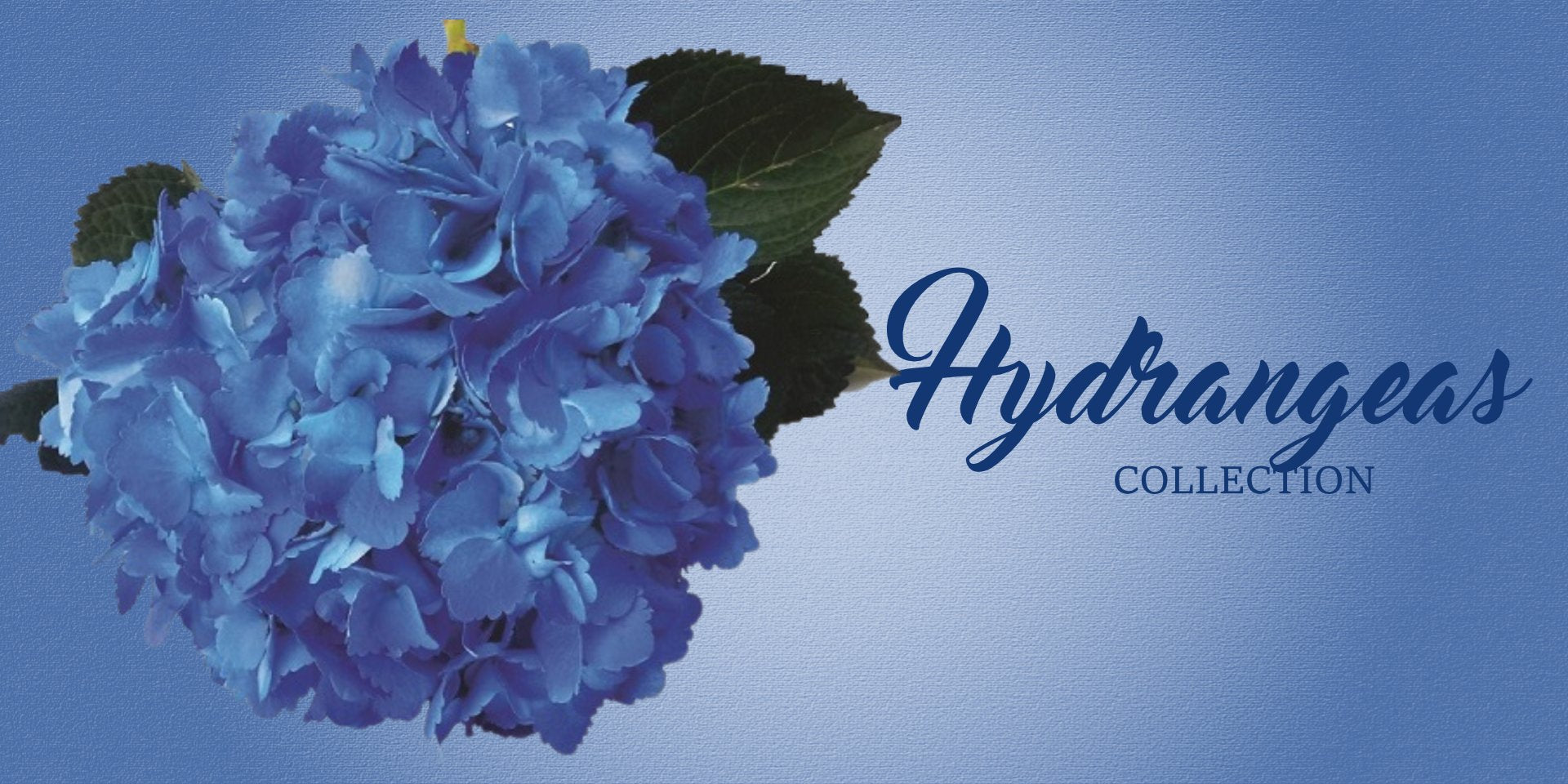 Greenery Cllection - EbloomsDirect