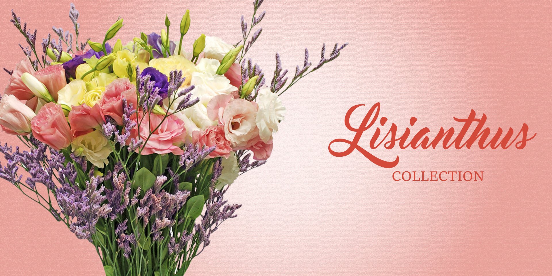 Lisianthus