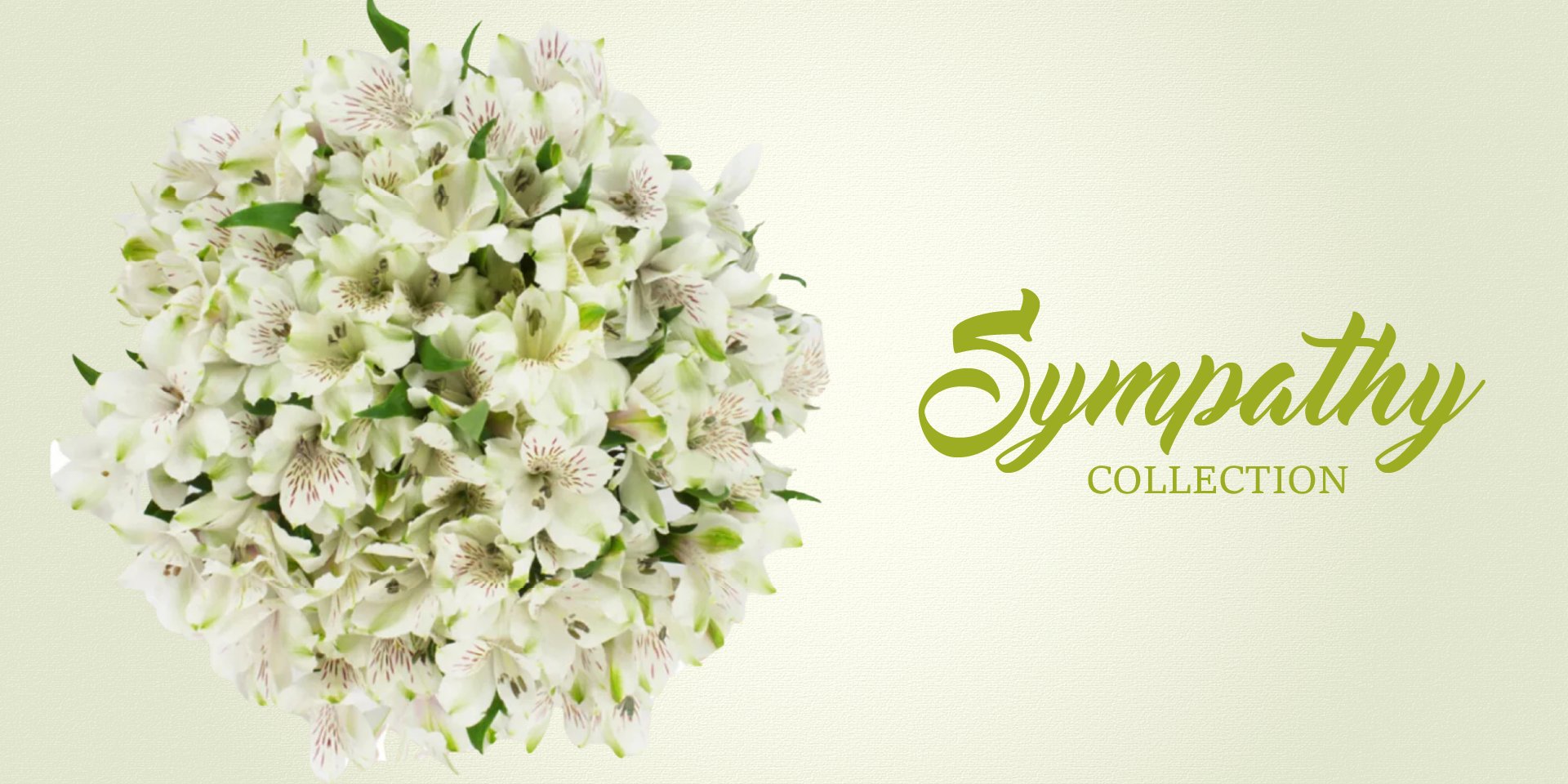 Symphaty - free delivery flowers near me