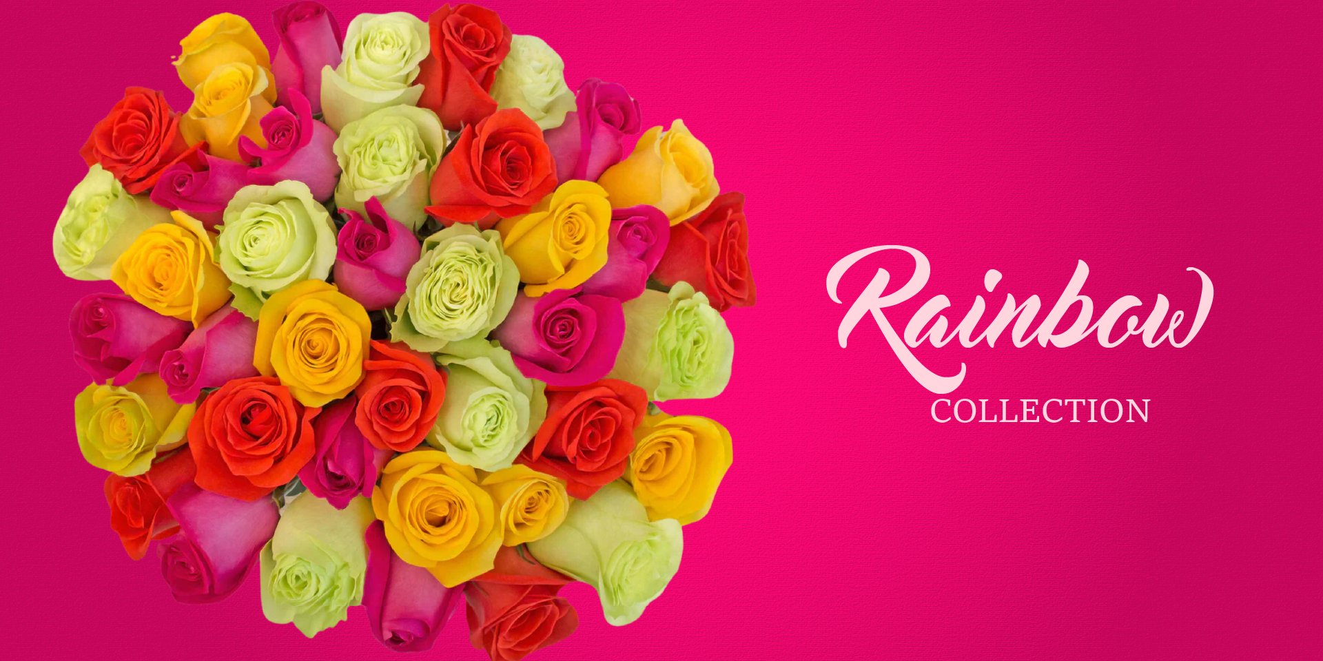 Rainbow Flowers - EbloomsDirect