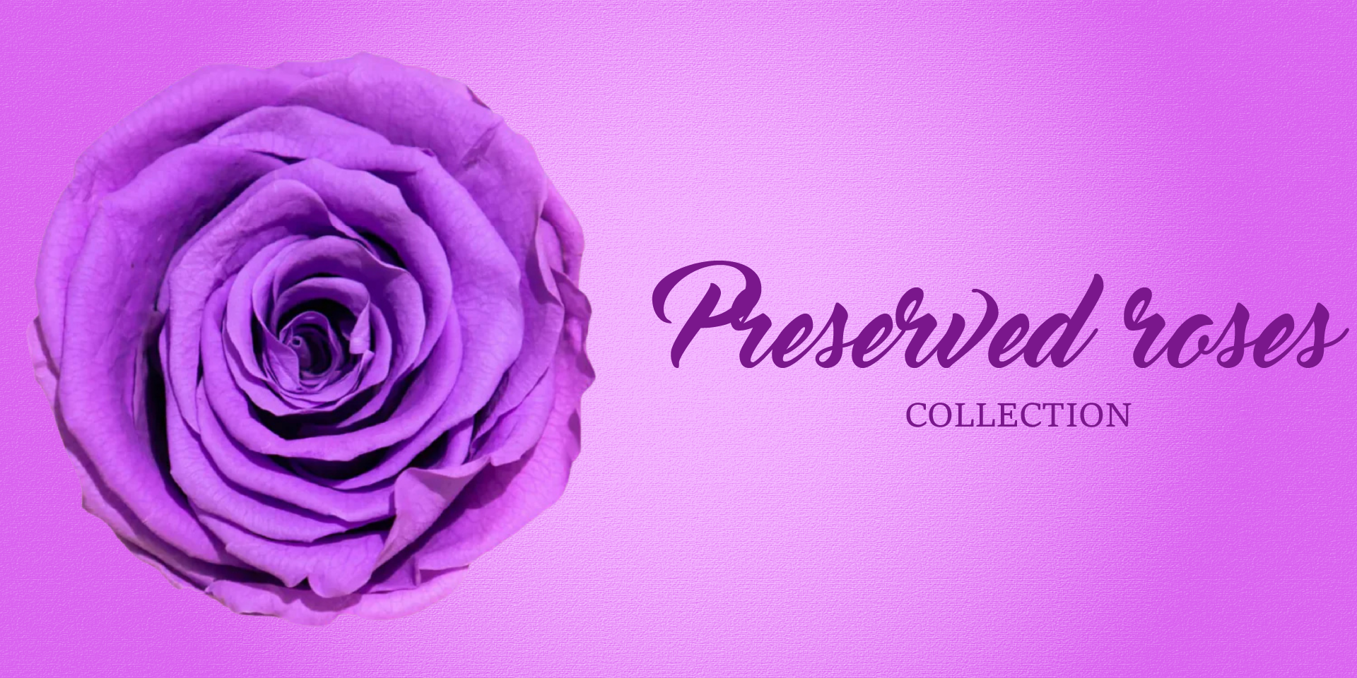 Preserved flowers roses cheap flowers free delivery near me