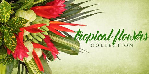 Tropical Flowers bouquets - Eblooms Direct