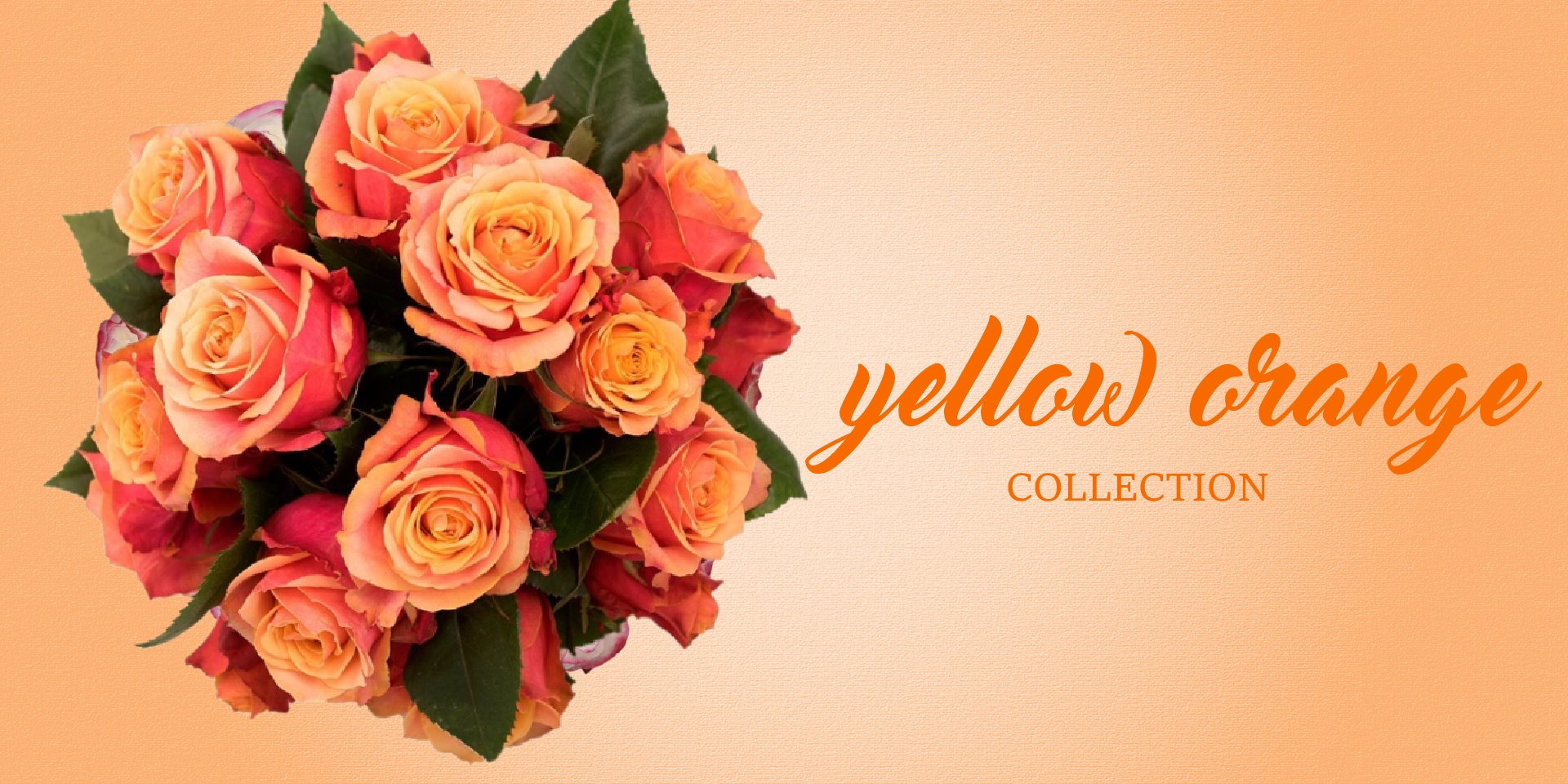 Bicolor Yellow and Orange Flowers - EbloomsDirect