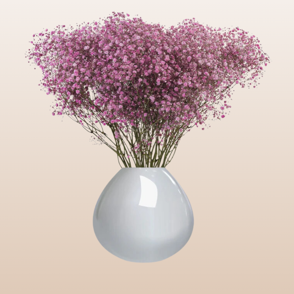 Baby's Breath Medium Pink