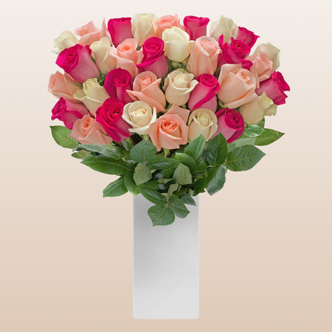 Trio White - Pink & Hot Pink Roses
