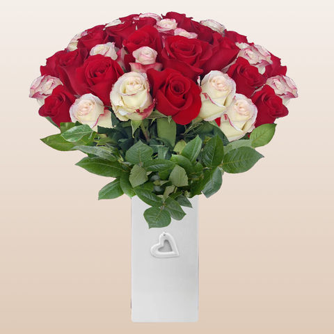 Duo Red - Bicolor White/Red Roses
