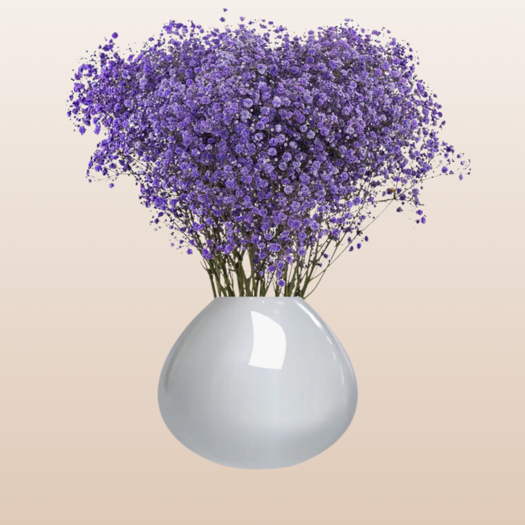 Baby's Breath Purple