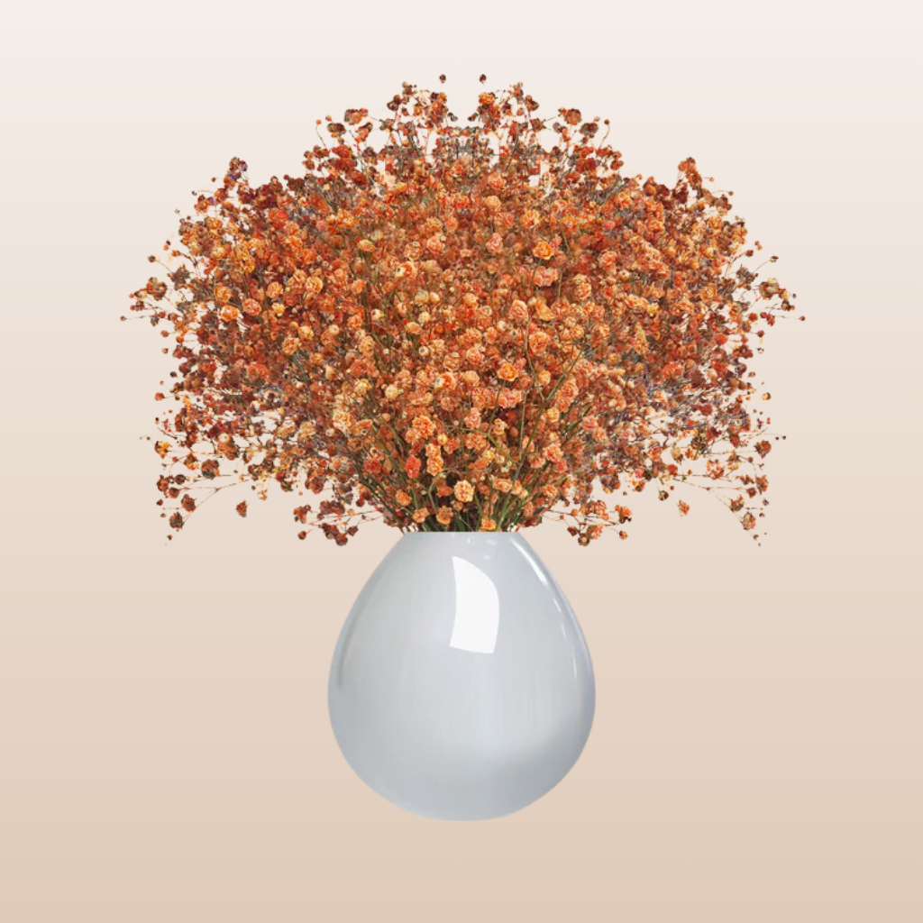 Baby's Breath Orange