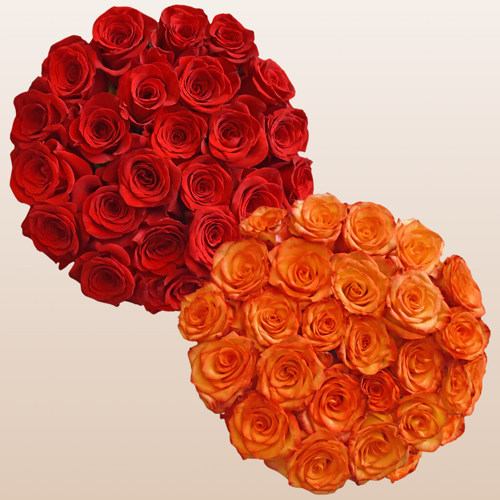 Red and Bicolor Orange