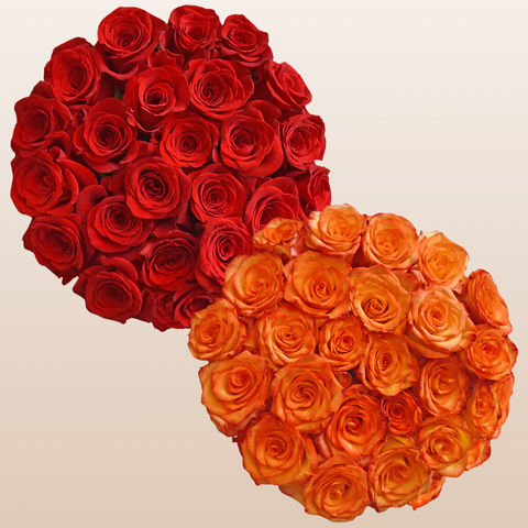Red and Bicolor Orange