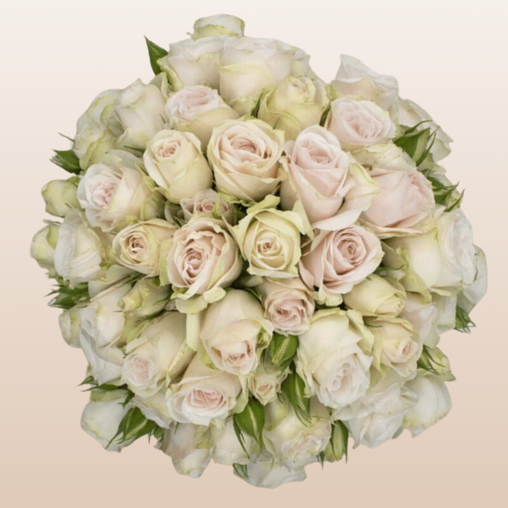 Soft Pink Spray Roses