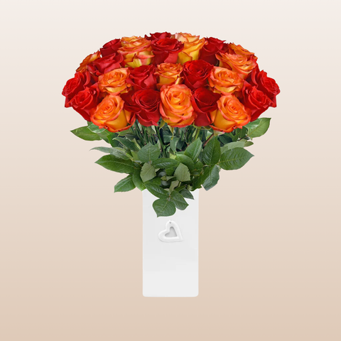 Red and Bicolor Orange