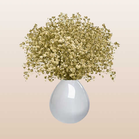Baby's Breath Light Yellow