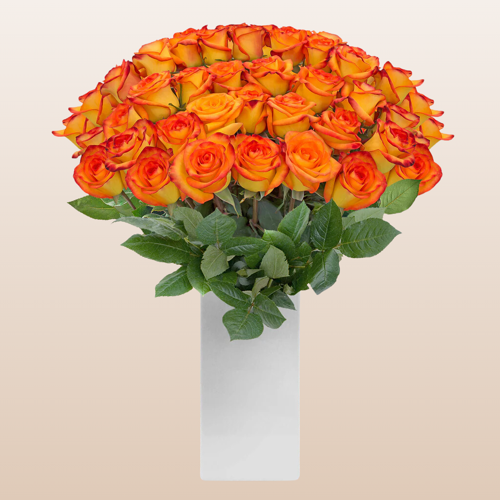 Roses Bicolor Yellow & Orange 60cm Long Stem