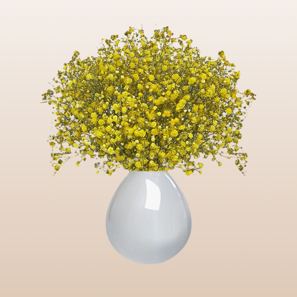 Baby's Breath Yellow